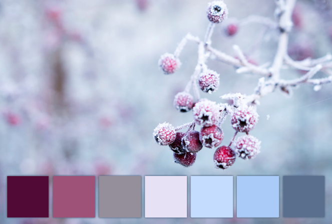 winter colors