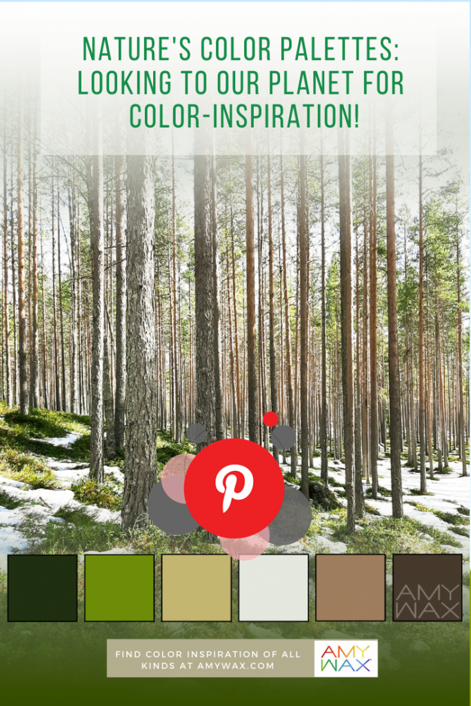 nature's color palettes 