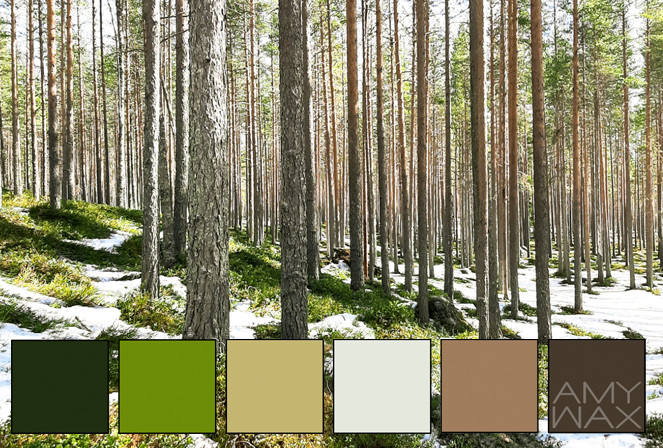 nature's color palettes