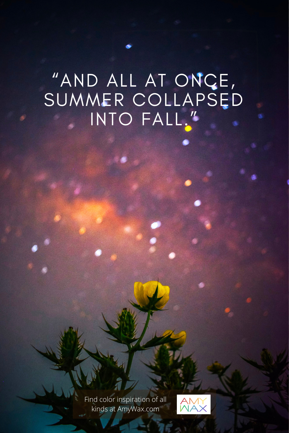 and all at once summer collapsed into fall