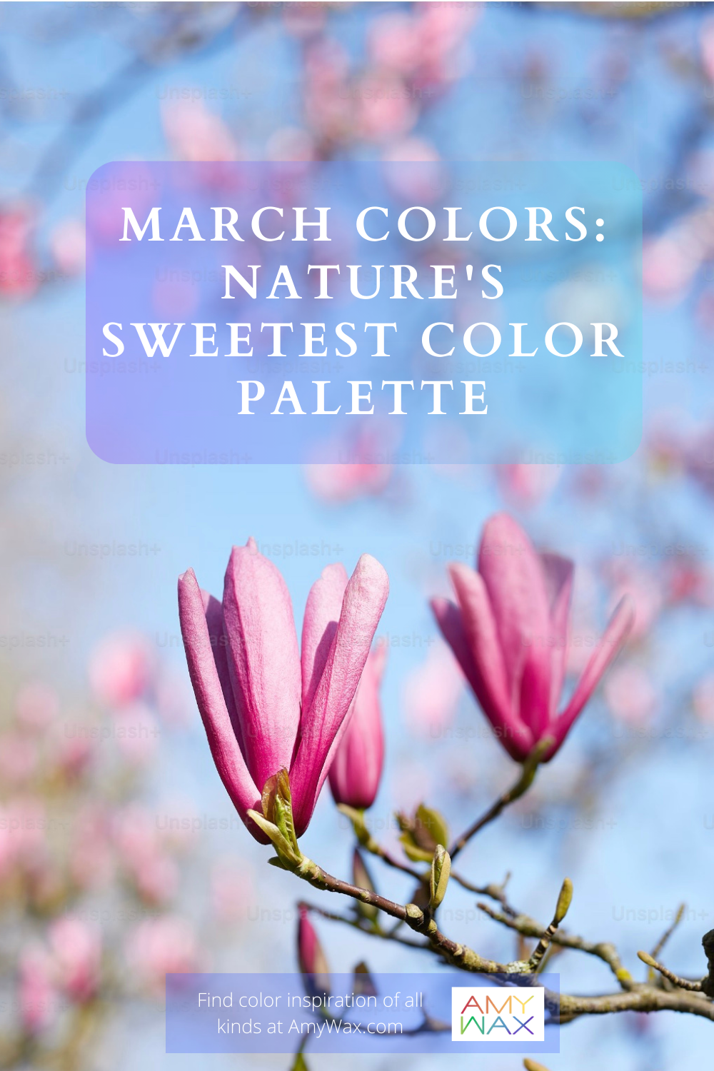 march colors 