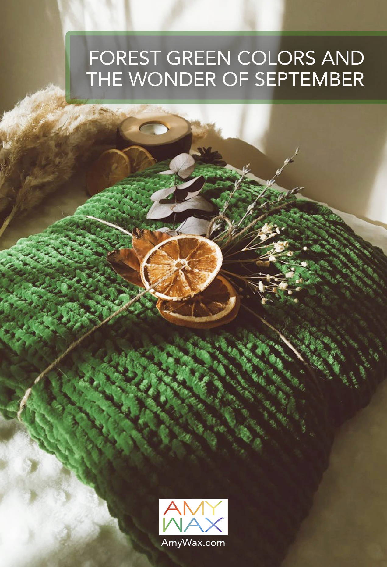 forest green colors